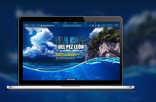 Hunting The Lion Fish